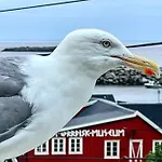 Lofoten Aurora Seafront Penthouse 罗弗敦极光海滨顶层豪华公寓 Sørvågen