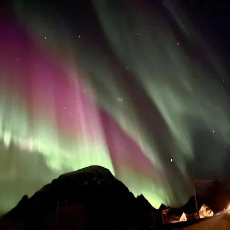 Lofoten Aurora Seafront Penthouse 罗弗敦极光海滨顶层豪华公寓 *