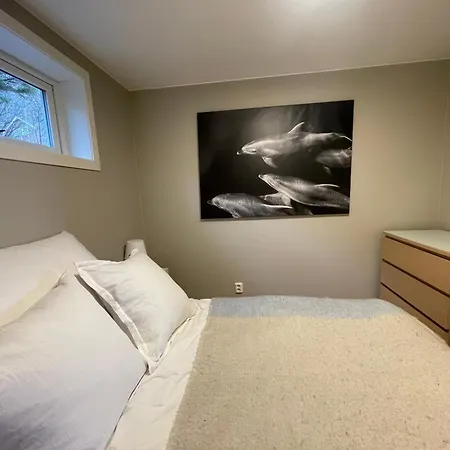 Lofoten Aurora Seafront Penthouse 罗弗敦极光海滨顶层豪华公寓 Lejlighed