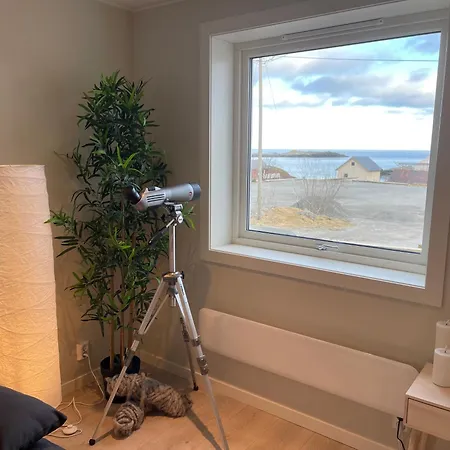 Lofoten Aurora Seafront Penthouse 罗弗敦极光海滨顶层豪华公寓 *