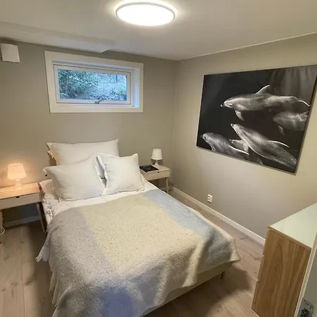 Lofoten Aurora Seafront Penthouse 罗弗敦极光海滨顶层豪华公寓 *