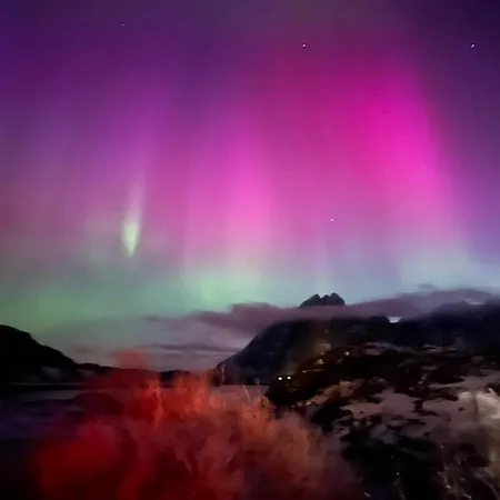 Lofoten Aurora Seafront Penthouse 罗弗敦极光海滨顶层豪华公寓 Lejlighed Å