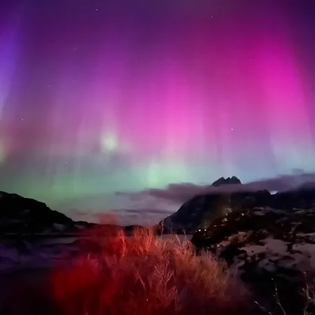 Lofoten Aurora Seafront Penthouse 罗弗敦极光海滨顶层豪华公寓 Lejlighed Å