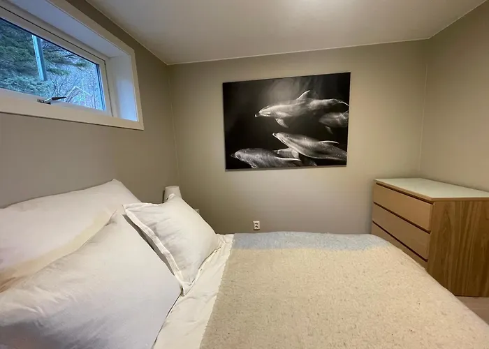 Lofoten Aurora Seafront Penthouse 罗弗敦极光海滨顶层豪华公寓 Leilighet
