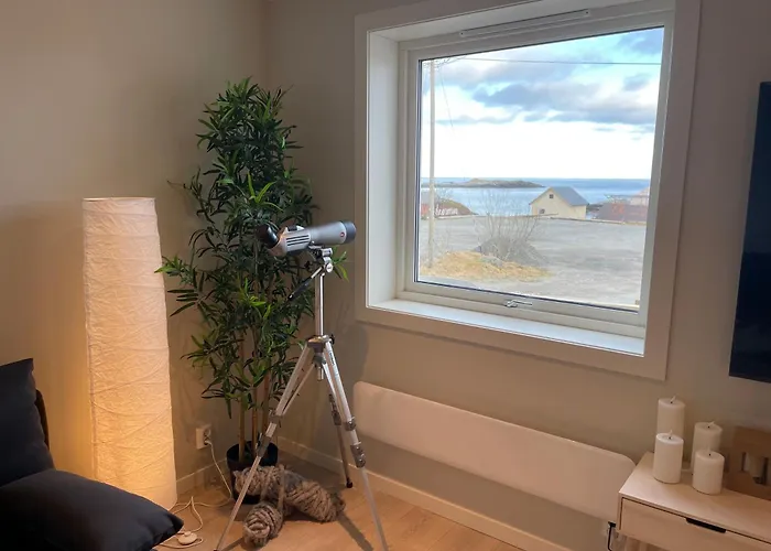 Lofoten Aurora Seafront Penthouse 罗弗敦极光海滨顶层豪华公寓 *
