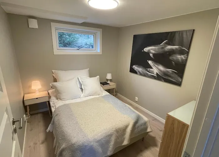 Lofoten Aurora Seafront Penthouse 罗弗敦极光海滨顶层豪华公寓 *
