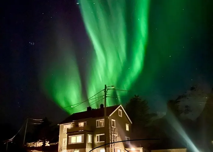 公寓 Lofoten Aurora Seafront Penthouse 罗弗敦极光海滨顶层豪华公寓 *